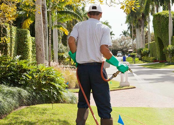 About Marsteller PA Pest Control Pros